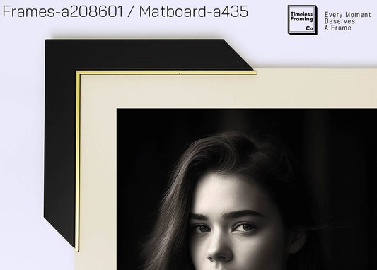 a208601- Black (19H x 30W)