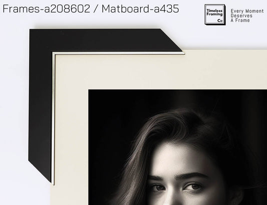 a208602- Black (19H x 30W)
